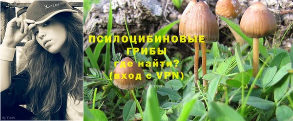 спиды Баксан