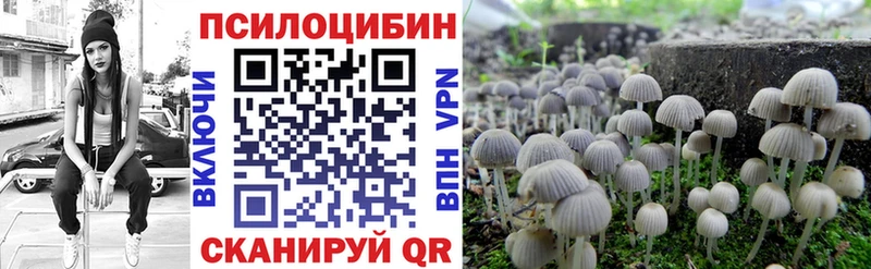 Галлюциногенные грибы Cubensis  наркотики  Боготол 